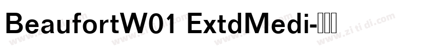 BeaufortW01 ExtdMedi字体转换